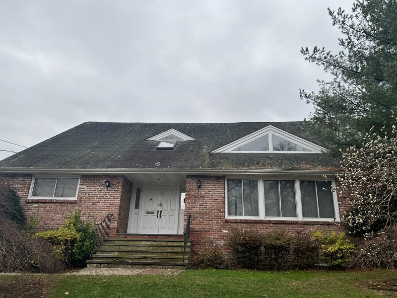 Black Replacement WIndows